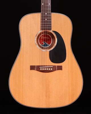 Eastman PCH2D, Solid Thermo-Cure Sitka Spruce Top, Laminated Rosewood Back and