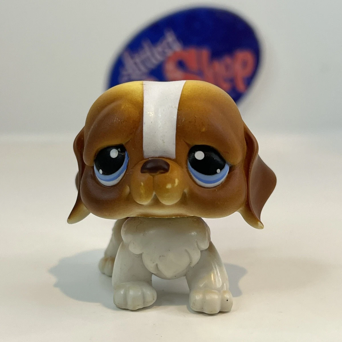 St bernard clearance items
