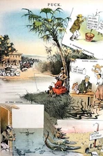 Florida Real Estate 1885 LAND OF SPECULATION PROMISES DISEASE SNAKES Puck Print