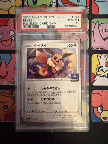 Pokémon Japanese Gym Promo - Eevee - 044/S-P - PSA 10 GEM MT