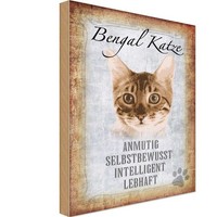 Holzschild 30X20 Cm Bengal Katze Tier Haustier Deko Geschenk Holz Schild