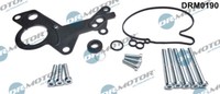 Dr.Motor Automotive DRM0190 Reparaturset, Vakuumpumpe (Bremssystem) FüR Audi