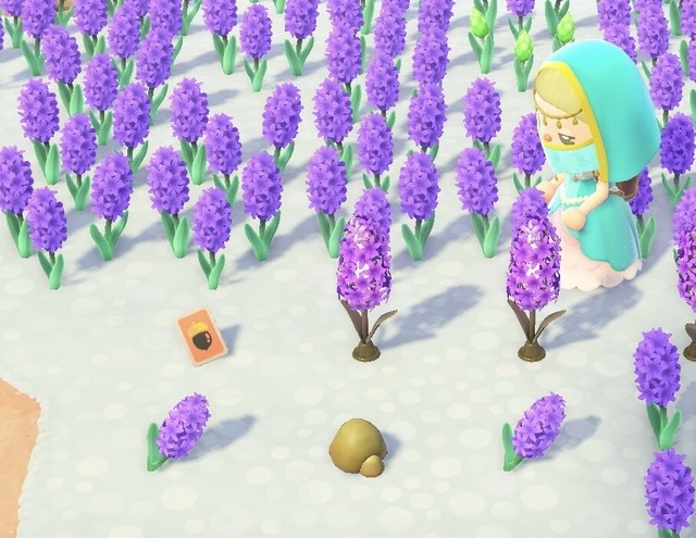 [ACNH]Hyacinth Lamp DIY + 10x Purple Hyacinths + 20x