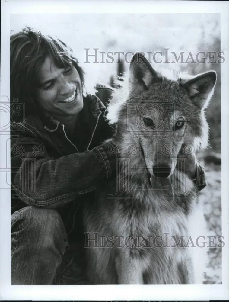 1977 Press Photo Kevin Brophy in a scene on "Lucan," on ABC Television. - 画像1/2