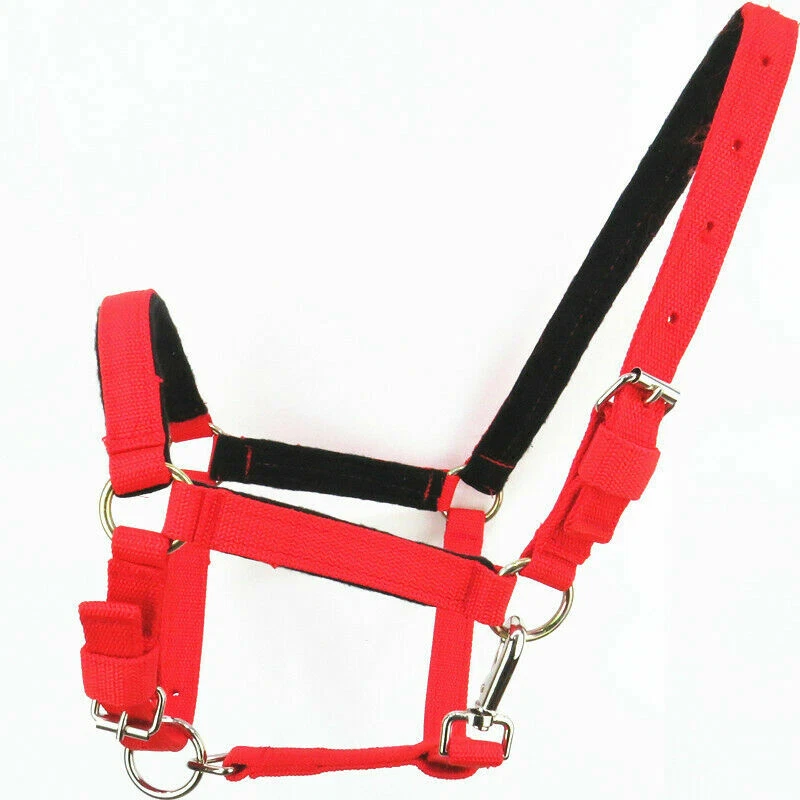 Nylon Headcollar Horse Halter Adjustable Pony Cob Full All Sizes SPW - Image 3 of 4