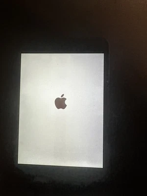 Apple iPad mini 2 16GB, Wi-Fi, 7.9in - Silver (AU Stock) - image 1 of 3