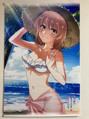 m23 Tapestry Isshiki Iroha Wondergoo Japan Anime Game Collector Figure New