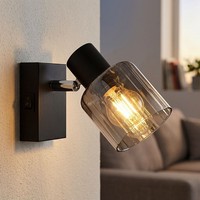 Wandlampe Wandleuchte Wohnzimmerlampe 1 Flammig Spot Beweglich Glas Rauchfarben