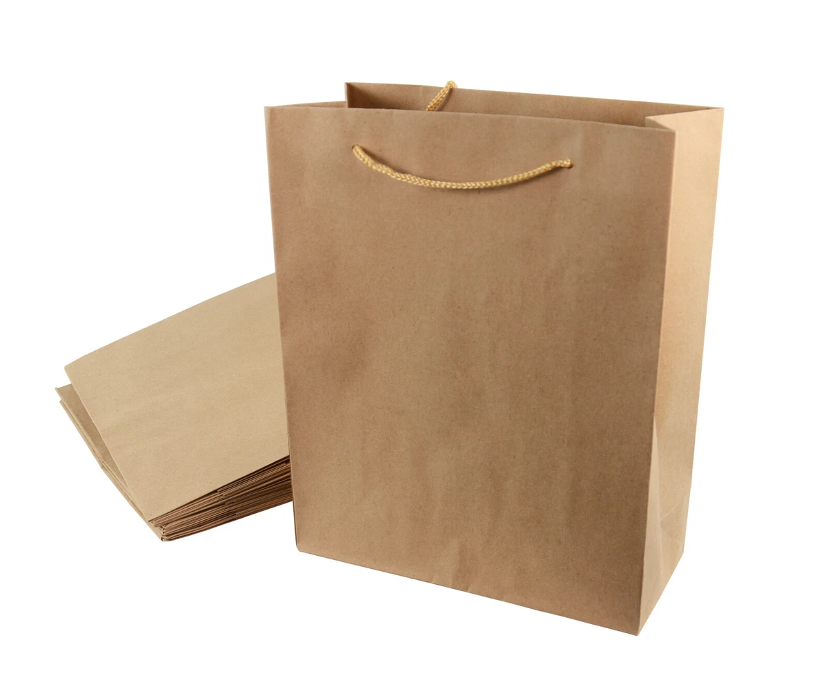 Large Kraft Brown Recyclable Paper Bag Sweet Fruit Gift Bags with