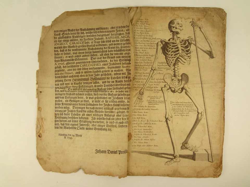 1750 L'Anatomie dei Pittori del Signore Carlo Cesio and Rerum Magni Concilii - Image 2 of 4