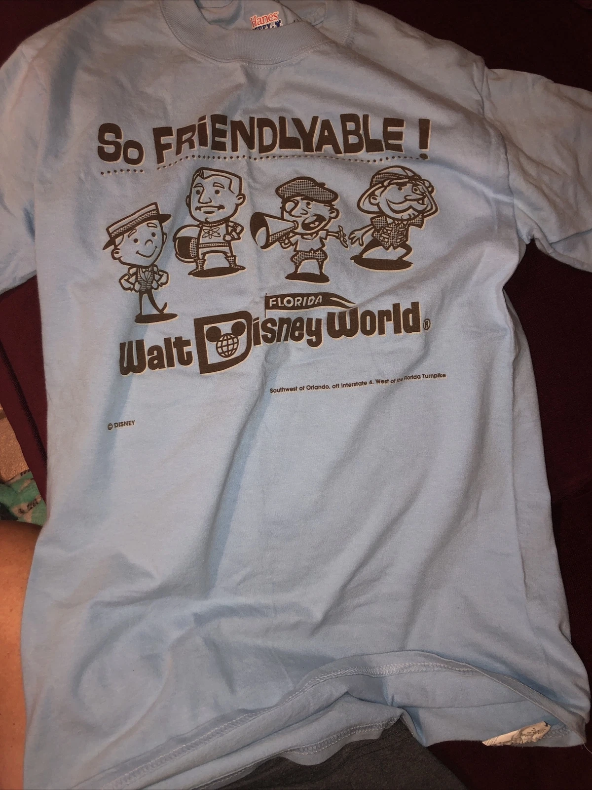 Hanes Adult Unisex Small 34-36 Disney. “So Friendlyable” Pale Blue & Brown Shirt