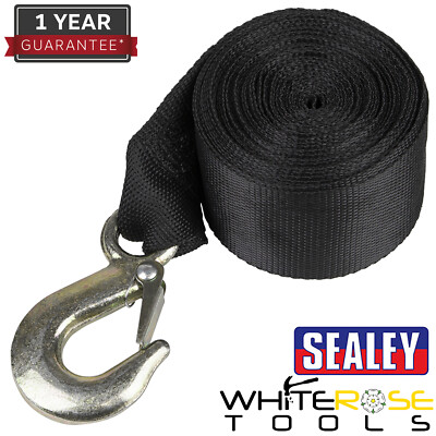 Sealey Windengurt 540kg 7m Gurtband Gurt Heben