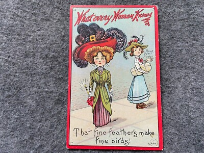 What Every Woman Knows...That Fine Feathers Make Fine Birds Vintage Postcard