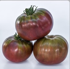 50 Tomato Black Krim Great Garden Heirloom Vegetable - Non-GMO