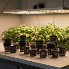 Heavy Duty 4-Inch Black Net Pots with Drainage Holes - Perfect for Aquaponics