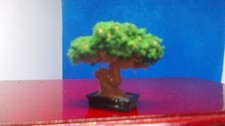 small bonsai tree for a dolls house