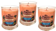 Scented Jar Candles 3-Pack Coconut Pina Colada Pink Orange 9oz Long Burn Eco