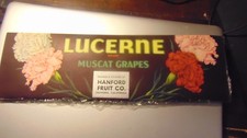 DEALER LOT OF 50 VINTAGE LUCERNE CRATE  LABELS