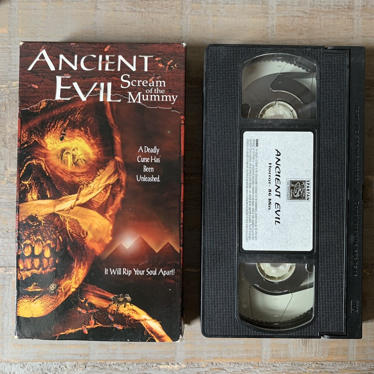Ancient Evil Scream Of The Mummy VHS Horror Movie 2000s