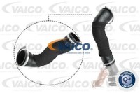 Vaico V25-1108 Riemenscheibe, Kurbelwelle FüR CitroËN Ford Peugeot