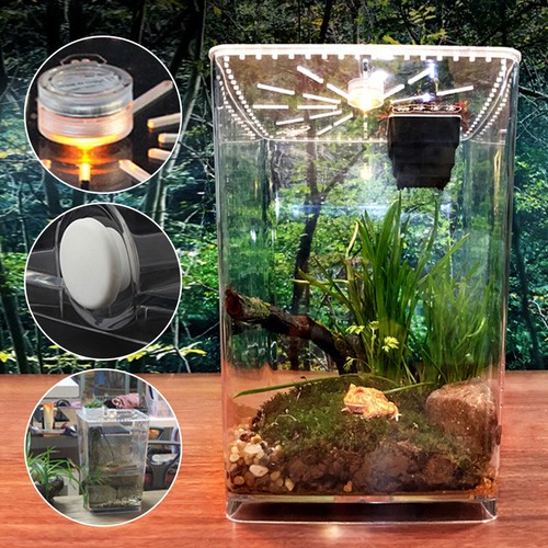Clear Reptile Tank Insect Spiders Lizard Breeding Box Cage Pet Terrarium & LED L
