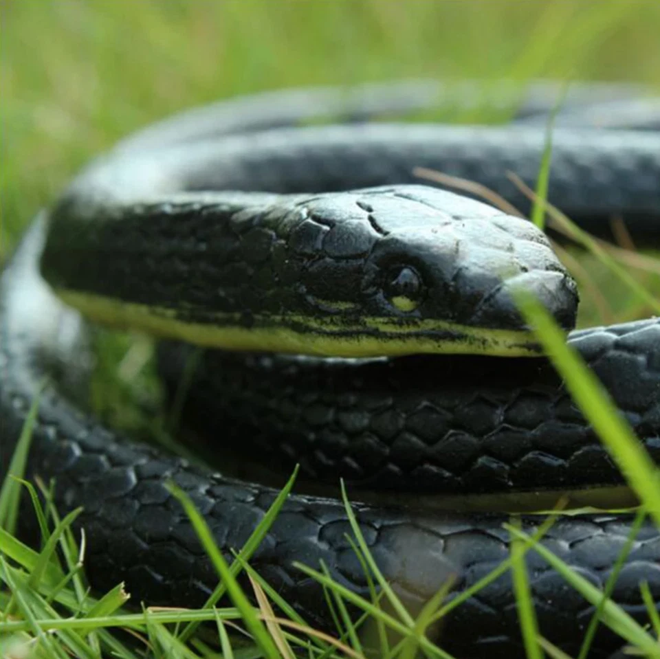 Fake Realistic Snake Lifelike Real Scary Rubber Toy Prank Party Joke For Garden - Image 3 of 4