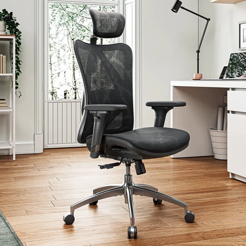 SIHOO M57 Ergonomic Office Chair, Mesh Desk Chair with Adjustable Lumbar Support