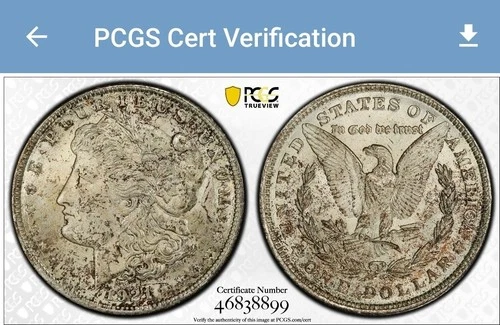 1921-P Morgan Silver Dollar PCGS MS64 - Slight Toning