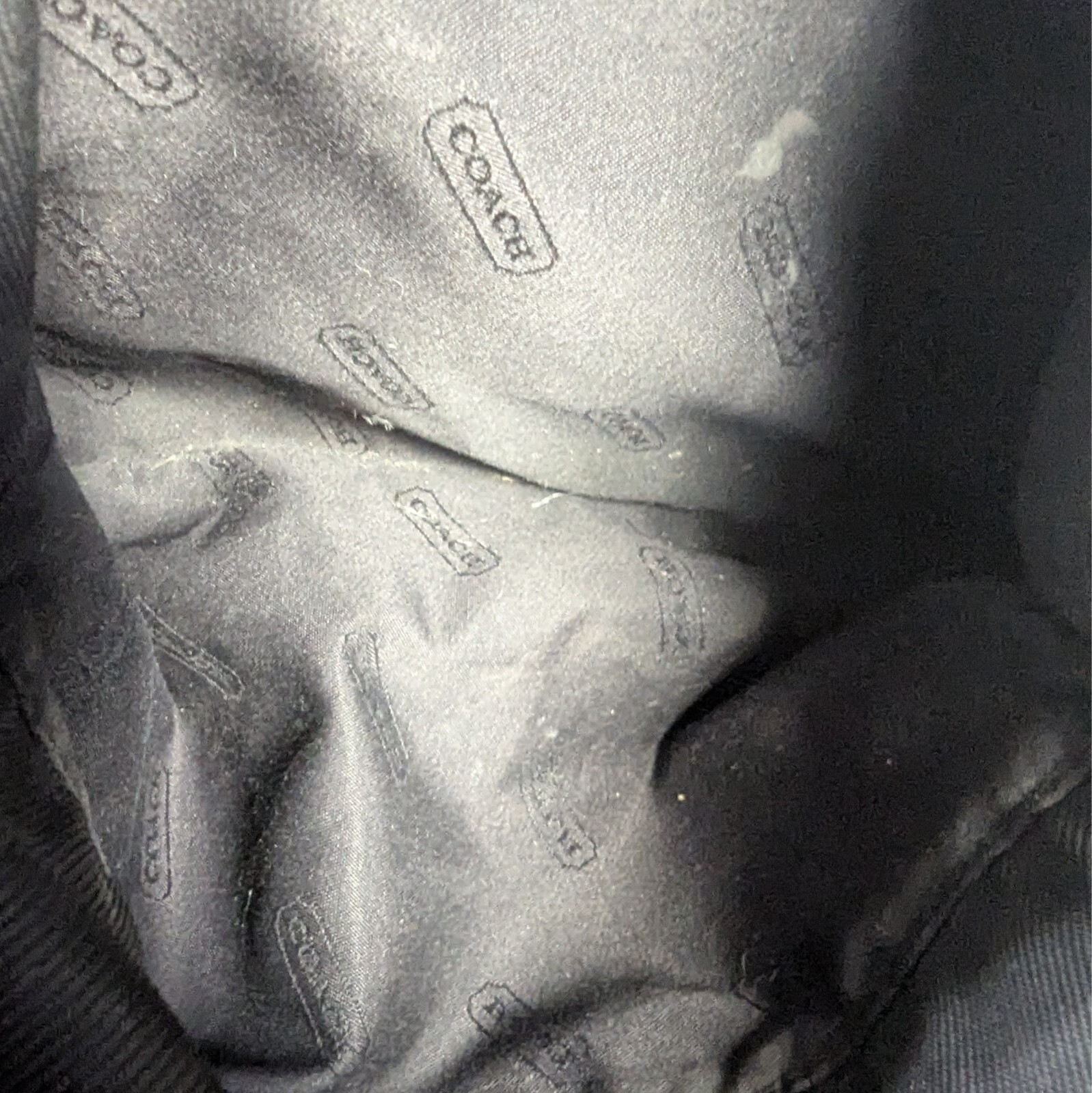 Picture 5 of 12