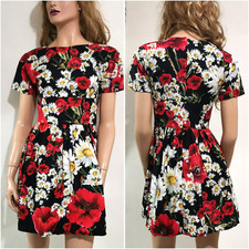 🆓US🛃  Dolce & Gabbana poppies daisies floral printed cotton Dress IT 40