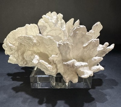 Regina Andrew Style Resin Coral On Crystal/ Acrylic?Base 9 X 8 X 5 
