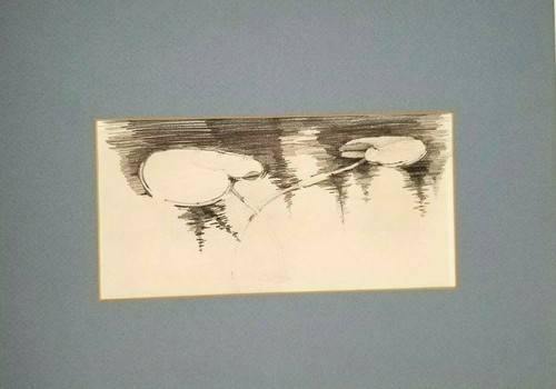 De colección Dibujo Lápiz Estampado Hojas de Loto Hojas Agua Decoración Naturaleza Artista Firmado - Imagen 2 de 4