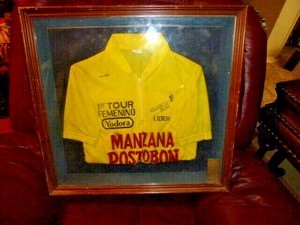 framed cycling jersey