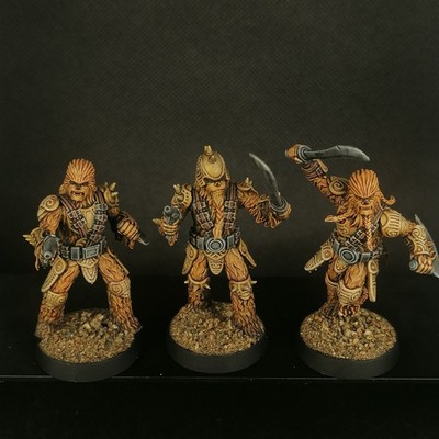 Bemalt, Star Wars Legion Scale 3D gedruckt, 3x Noble Fighter Wookie Warriors.
