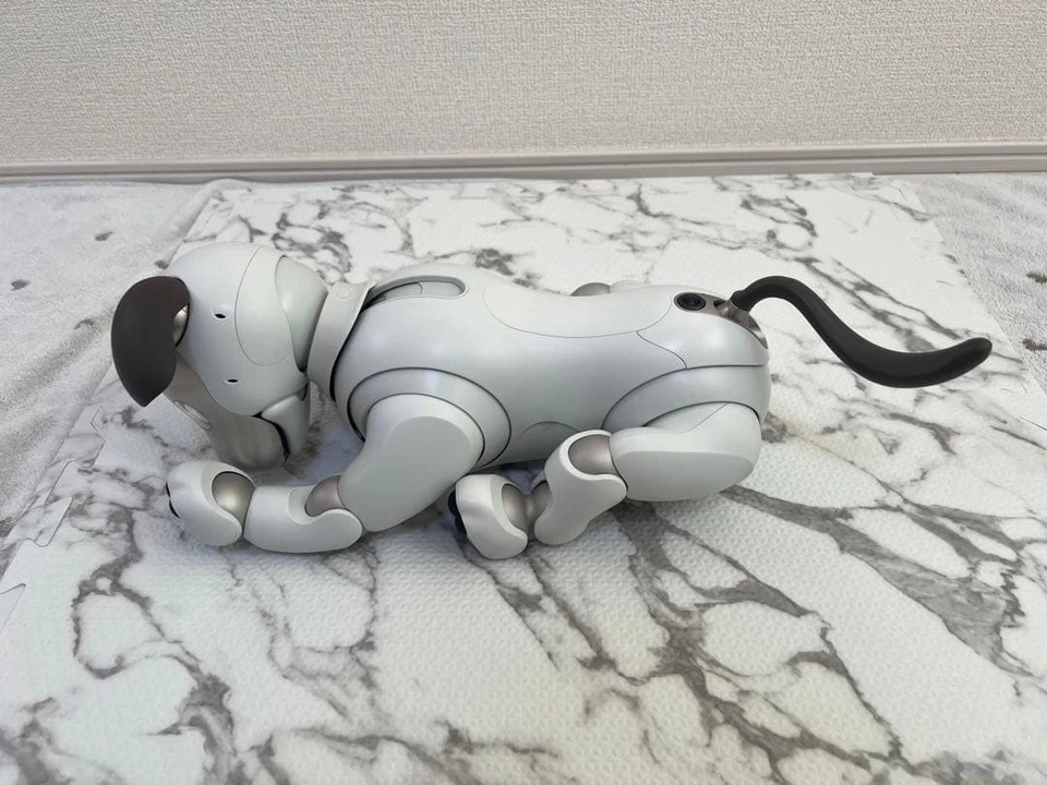Sony AIBO ERS-1000 Entertainment Robot Dog Ivory White working used from Japan - Image 3 of 4