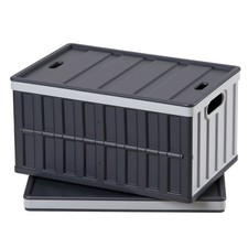 Plastic Collapsible Storage Bins with Lids, 65L 2 Packs, Stackable Folding Stora