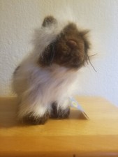 NWT Webkinz Himalayan Cat Sealed Code Ganz