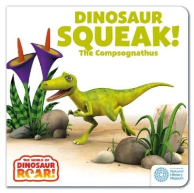 Peter Curtis The World of Dinosaur Roar!: Dinosaur Sque (Board Book) (UK IMPORT)