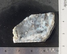 Dendritic Agate     Lapidary Slab                    T1127