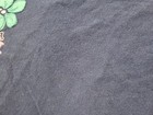 Bild 9 von 12