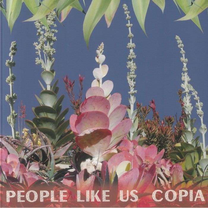 PEOPLE LIKE US - Copia - Vinyl (LP)