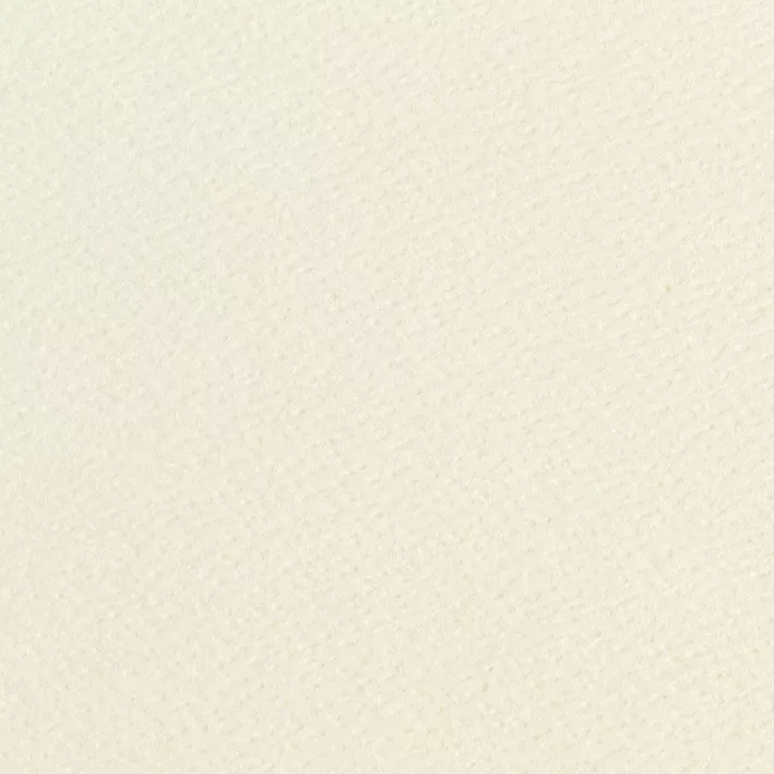 50 SHEETS A4 IVORY HAMMER TEXTURED PAPER 120GSM ACCENT FRESCO CREME