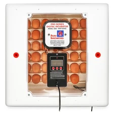 Farm Innovators Digital Circulated Air Incubator w/ Auto Egg Turner (Open Box)