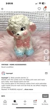 Baby Poodle Planter Owned By Melanie Martinez