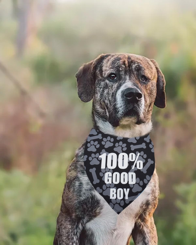 4 Pack Dog Bandanas 100% Good Dog Print Triangle Bibs for Medium Large Dogs Frie - Picture 7 of 7