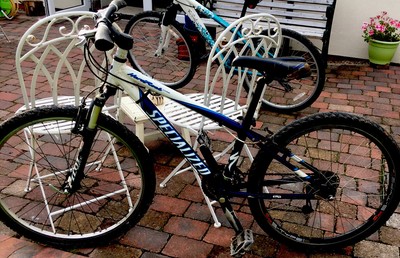 used womens mountain bike