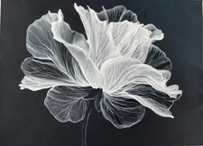 Original Acrylic Painting on Canvas Ethereal Flower Wall Decor