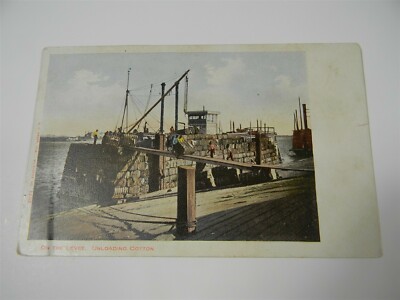 Vintage UDB Unloading Cotton On The Levee Postcard Steamship - P35