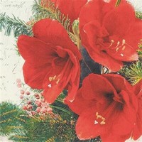 20 Servietten Red Amaryllis Amaryllis BlüTen Weihnachten Blumen Tischdeko 33X33C