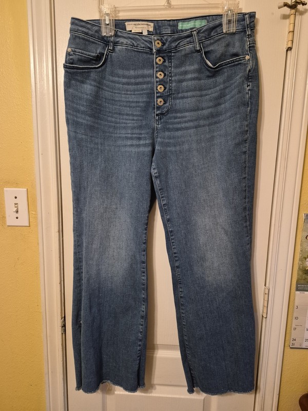 PILCRO & THE LETTERPRESS ANTHROPOLOGIE BUTTON-FLY SKINNY BOOTCUT JEANS PLUS 18W